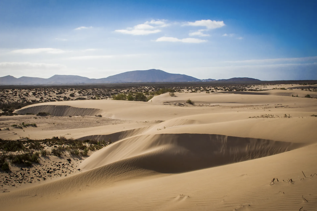 The dunes of Corralejo Natural Park, Fuerteventura