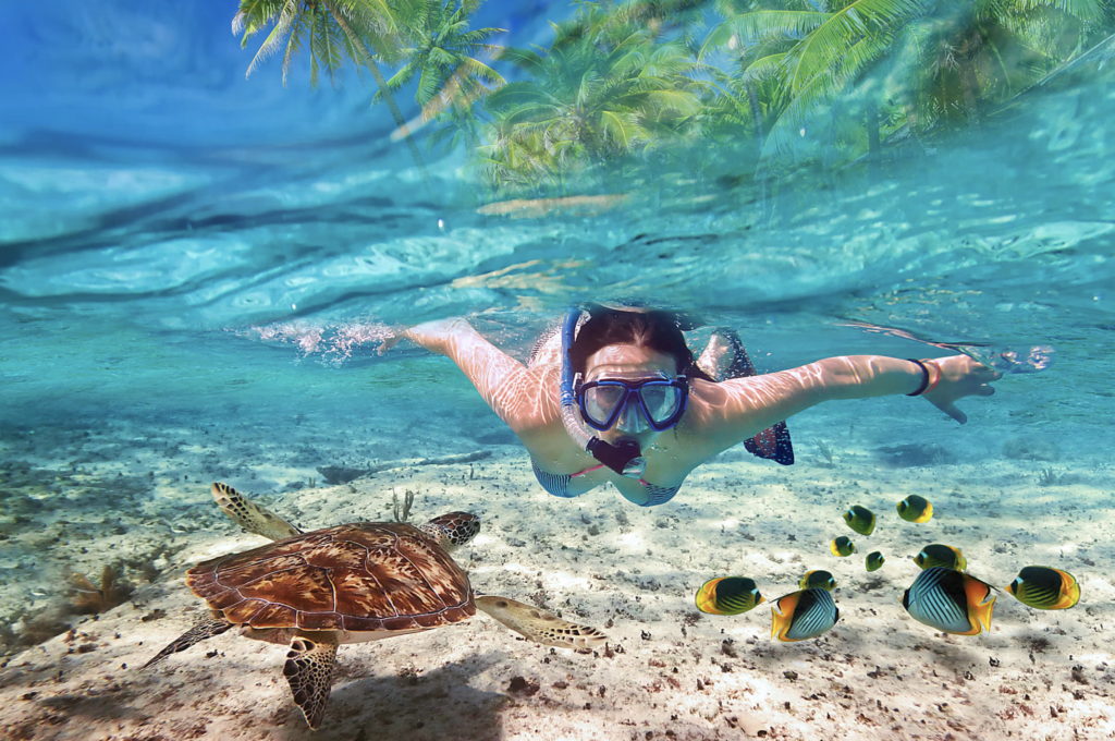 Snorkel through the crystal clear waters at Cabeza de Toro