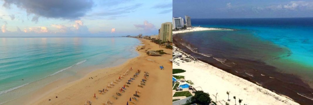 Good news for some Cancun beaches, with sargassum coming under control.